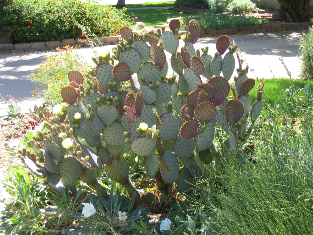 618x457 pixels (285K)